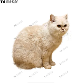 Tri mishki WCS1065 животно бял дебела котка Стикер на колата PVC Стикери Аксесоари Стикер на колата Лаптоп Багаж