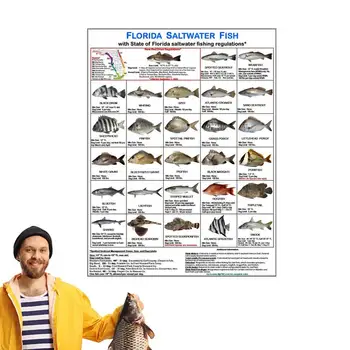 Идентификация карта рибар Цветни снимки на Водни правила Флорида Идентификация карта Флоридской морска риба за лодки, причаливающих до плажа